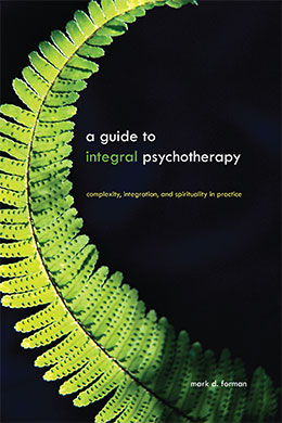 Guide to Integral psychotherapy